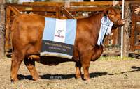 RINCON IBERA 656 NANDO 438 SORP FIV