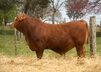 RINCON IBERA 24587 RDI_C VIAMONTE FIV