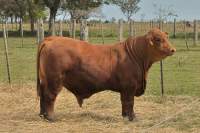 RINCON IBERA 24749 RDI MUNDIAL FIV